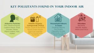 View of Follow these 13 Tips to Control Your Indoor Air Quality (IAQ)