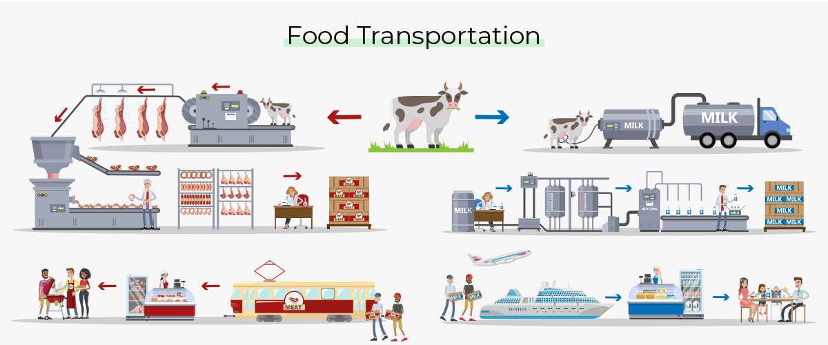 food transportation 