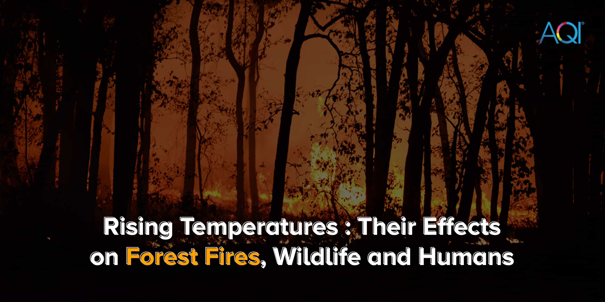 Forest fires and impact on wildlife and humans
