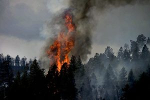forest fire hampers air quality