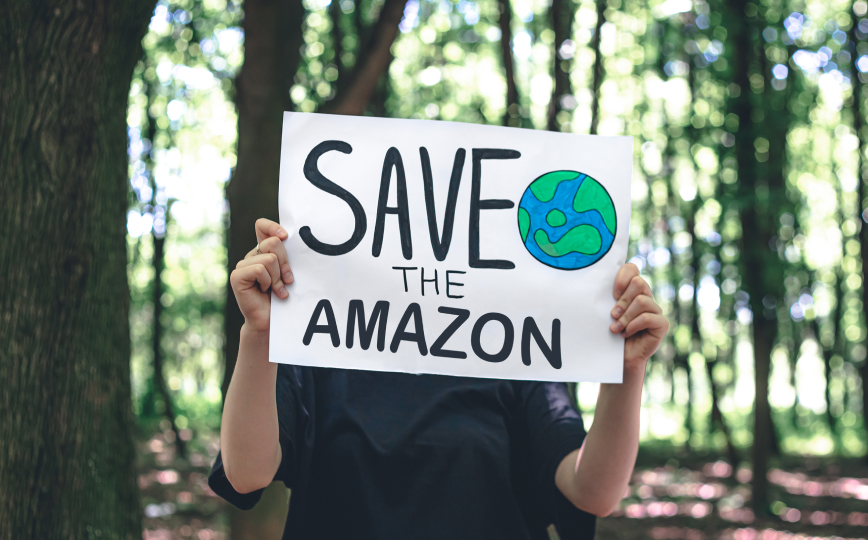 save amazon forest
