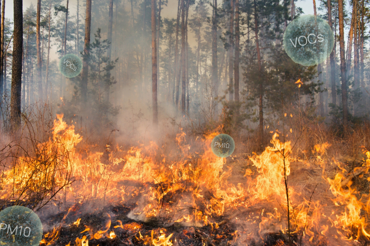 Waldbrand setzt Luftschadstoffe frei