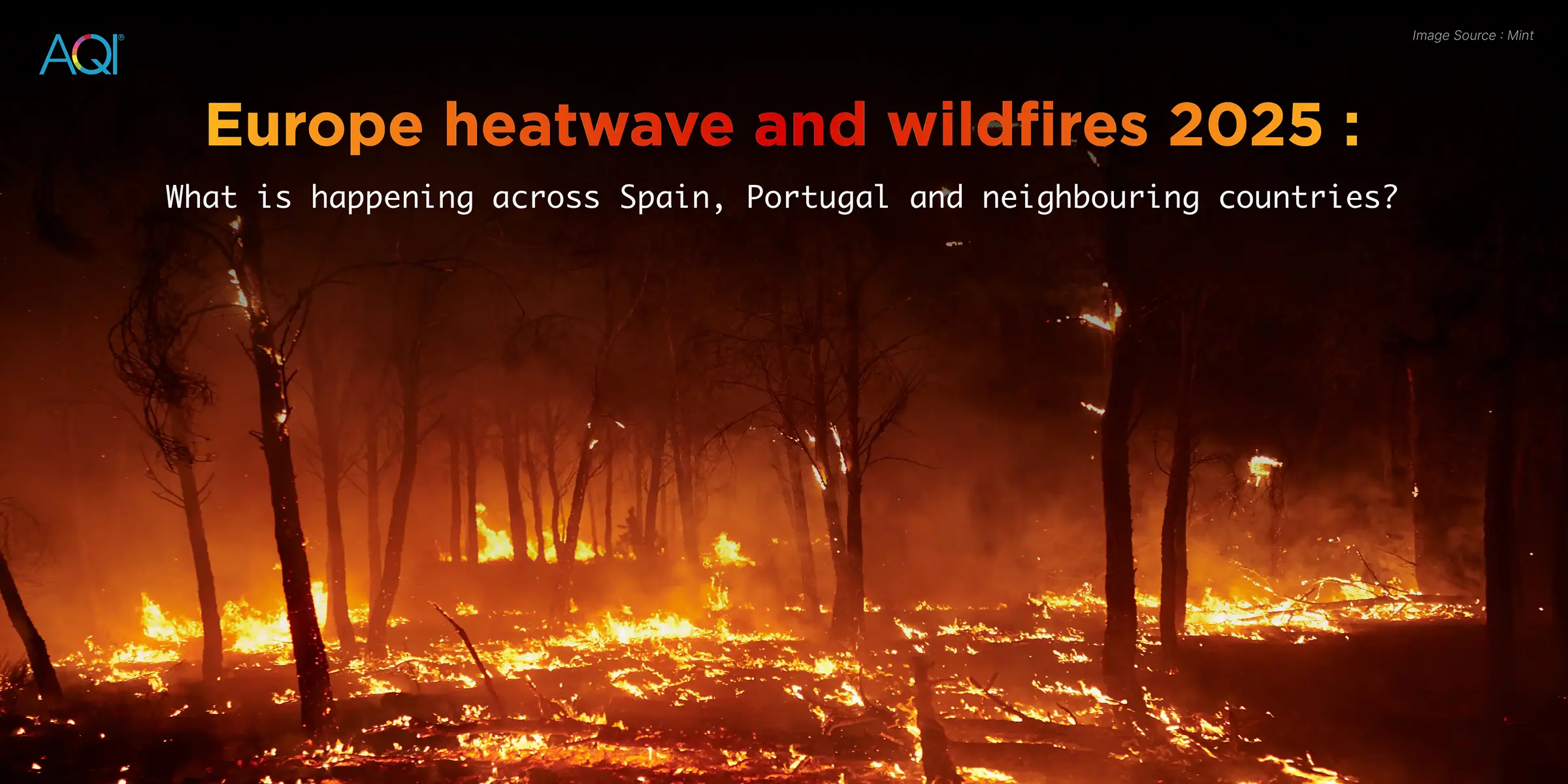 Europe heatwave and wildfires 2025: What is happening across Spain, Portugal and neighbouring countries?
