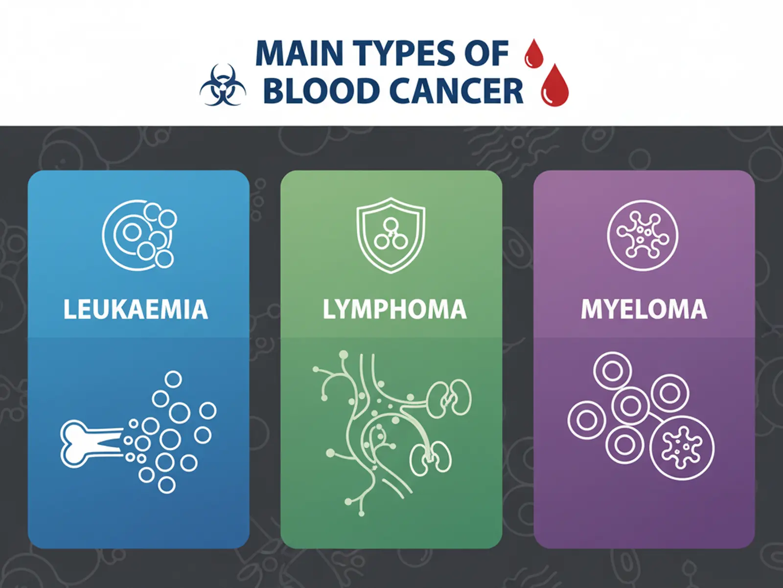 main types of blood cancer as leukaemia, lymphoma, myeloma