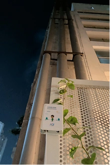 Rooftop gallery image 11